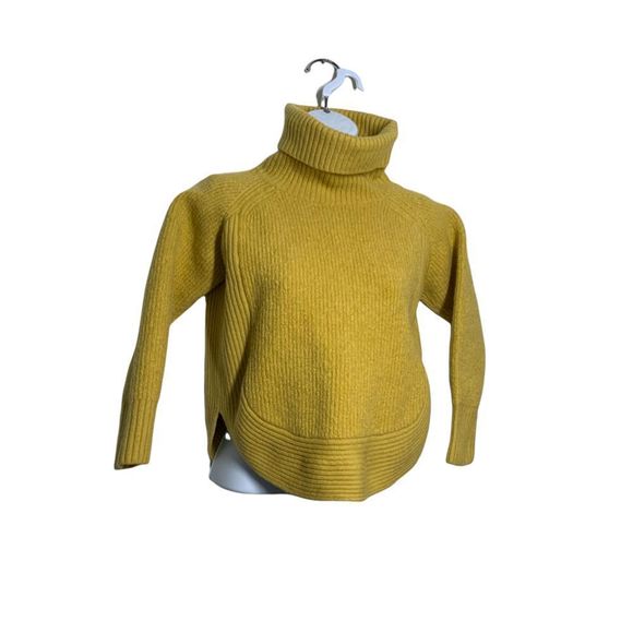Wilfred Sweaters - Wilfred Free Asianna Merino Wool Turtleneck Sweater Size XS
